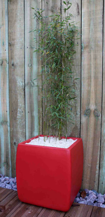 Design paysage maçonnerie minéral écologique terrasse bois ipé exotique bac pot jardinière fontaine acier rouillé inox caillebotis pergola bassin végétaux galet rocher déco clôture palissade éclairage